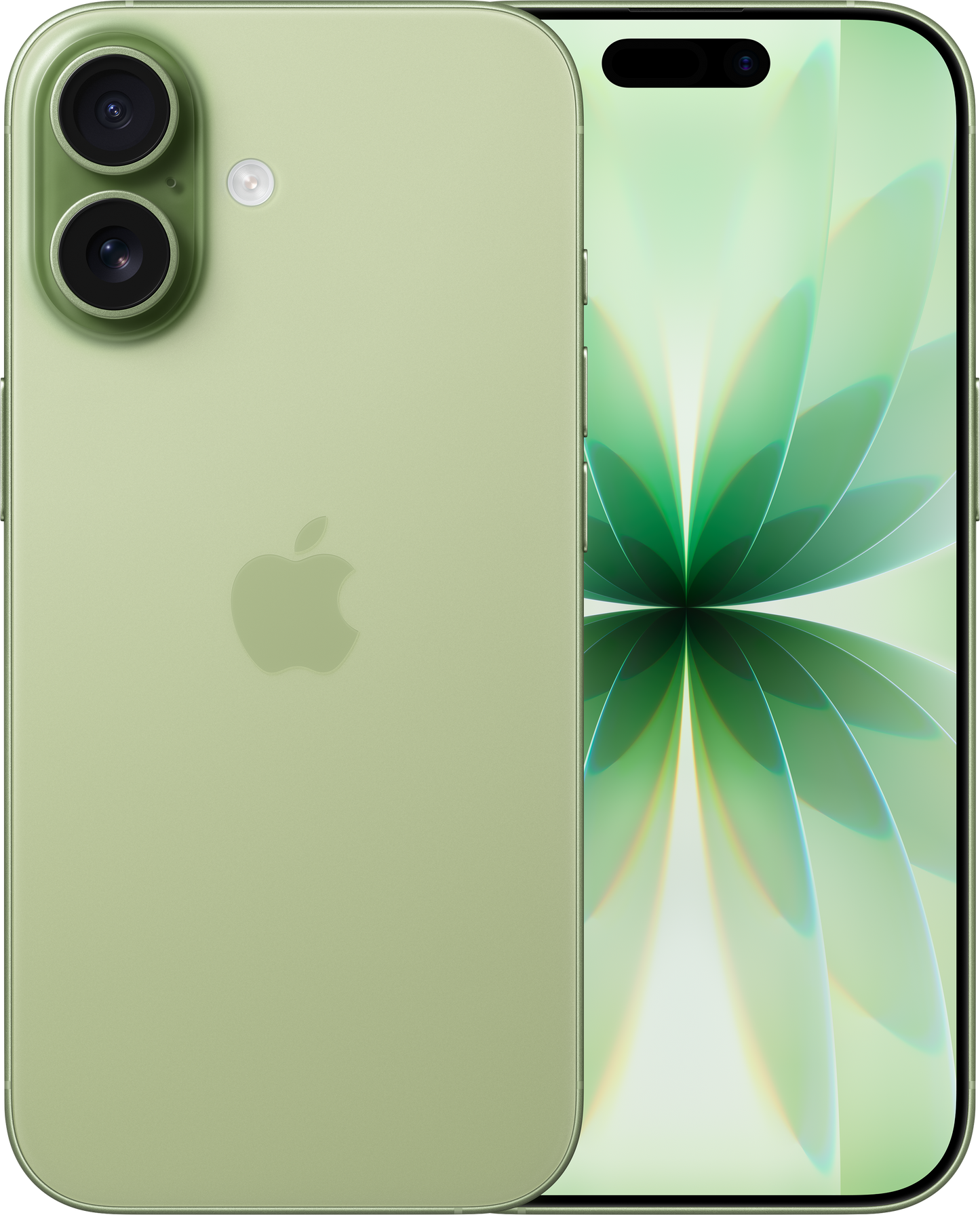 iPhone 17 256GB Salbei