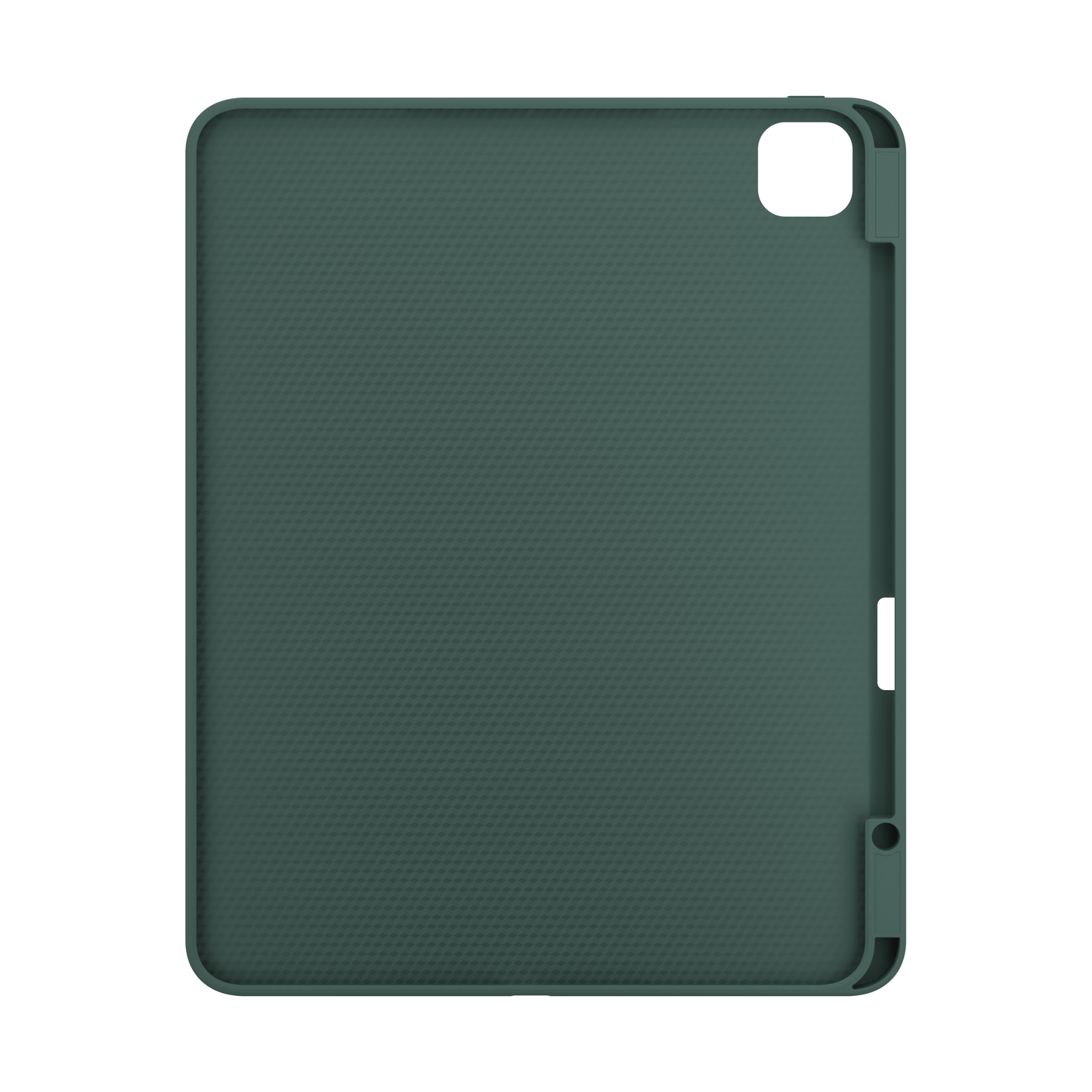 NEXT.ONE Roll case für iPad Pro 13" M4 - Green