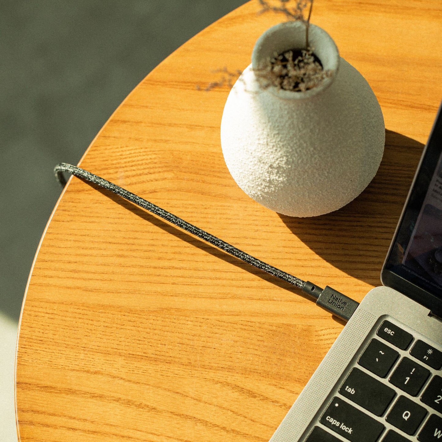 Native Union Belt Cable XL USB-C to USB-C 3m Cosmos