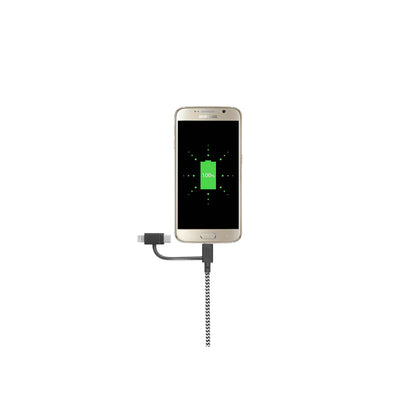 Native Union Belt Cable Universal 2m Zebra