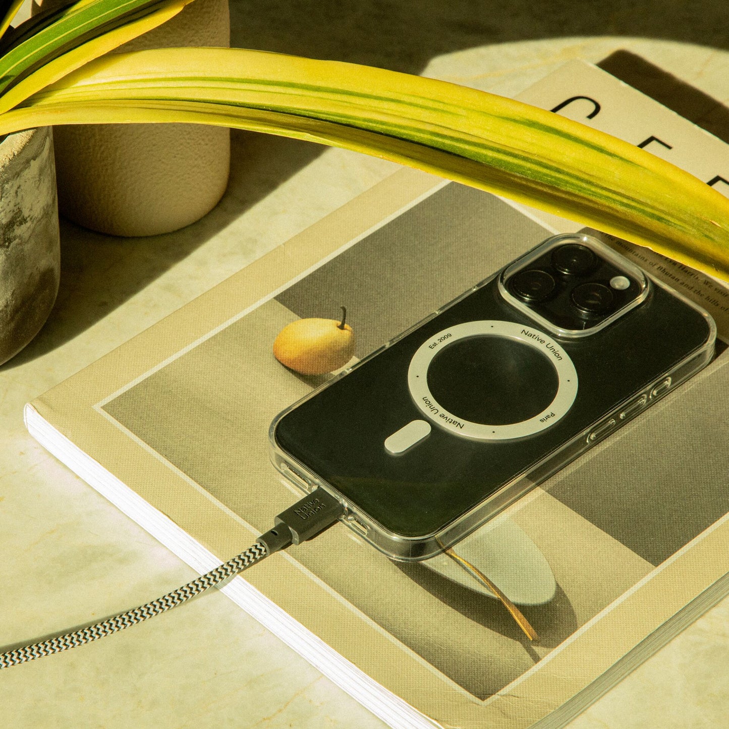 Native Union Belt Cable XL USB-C to USB-C 3m Zebra