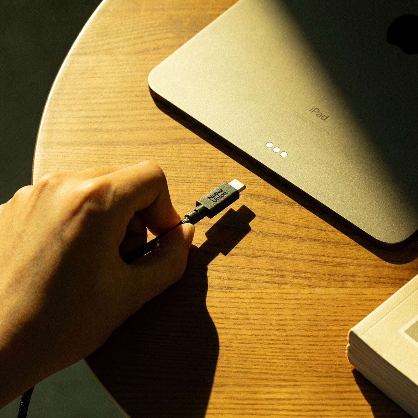 Native Union Belt Cable XL USB-C to USB-C 3m Cosmos